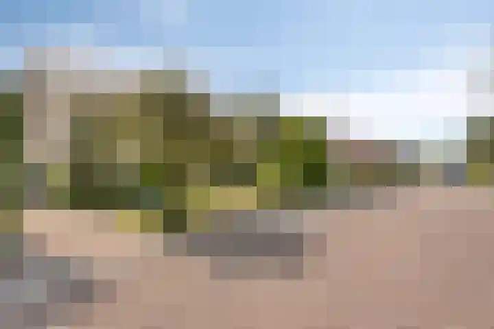 Pieter Zeemanlaan 56 Zwolle foto 3