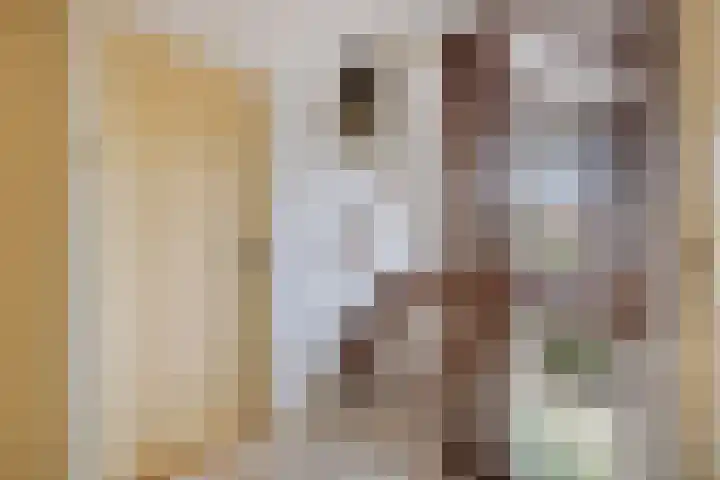 Pieter Zeemanlaan 56 Zwolle thumbnail 33