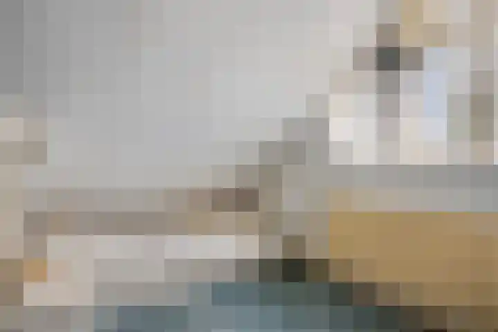 Pieter Zeemanlaan 56 Zwolle thumbnail 36