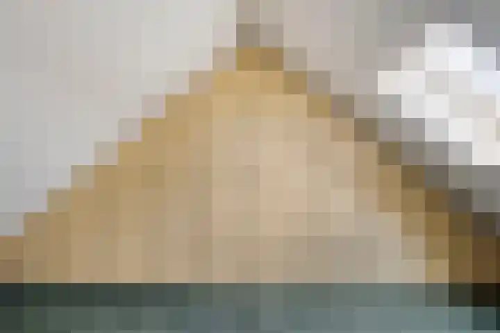 Pieter Zeemanlaan 56 Zwolle thumbnail 38