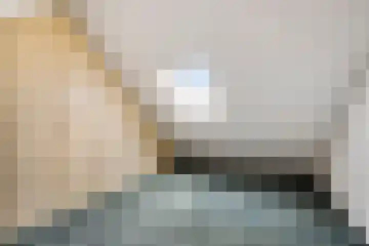 Pieter Zeemanlaan 56 Zwolle thumbnail 39
