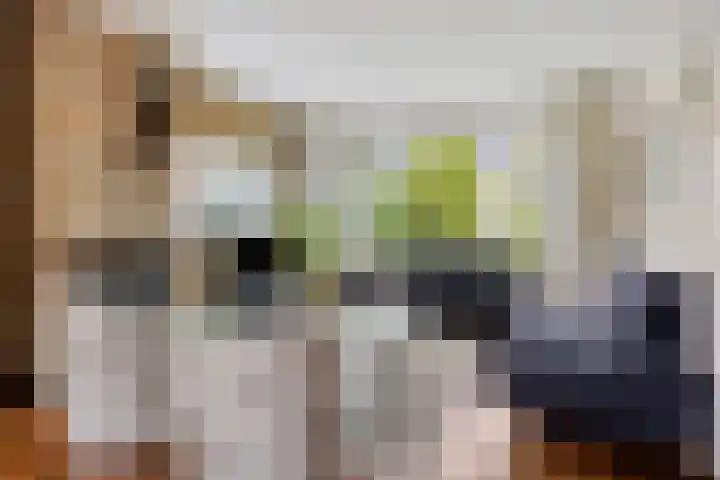 Pieter Zeemanlaan 56 Zwolle thumbnail 4