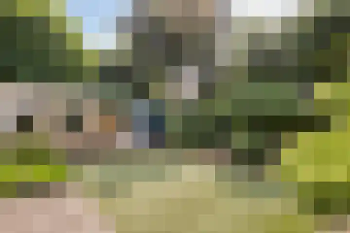 Pieter Zeemanlaan 56 Zwolle thumbnail 41