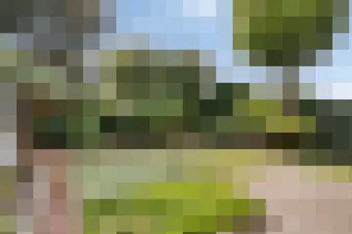 Pieter Zeemanlaan 56 Zwolle thumbnail 42