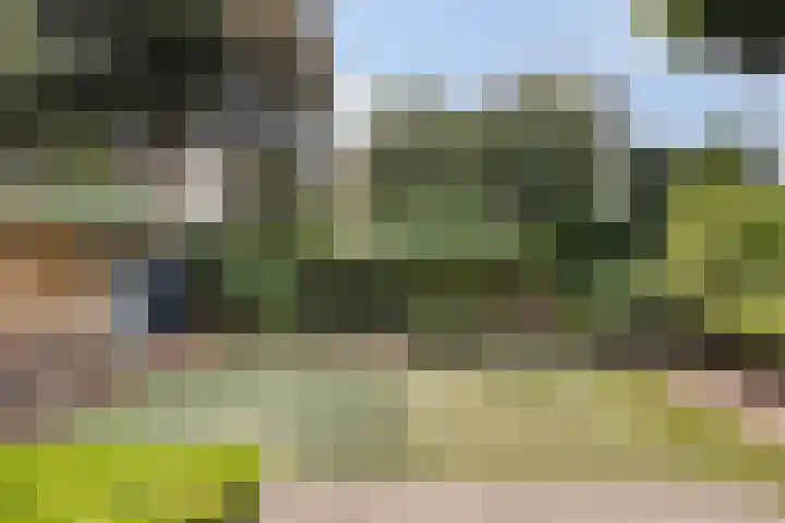 Pieter Zeemanlaan 56 Zwolle thumbnail 43