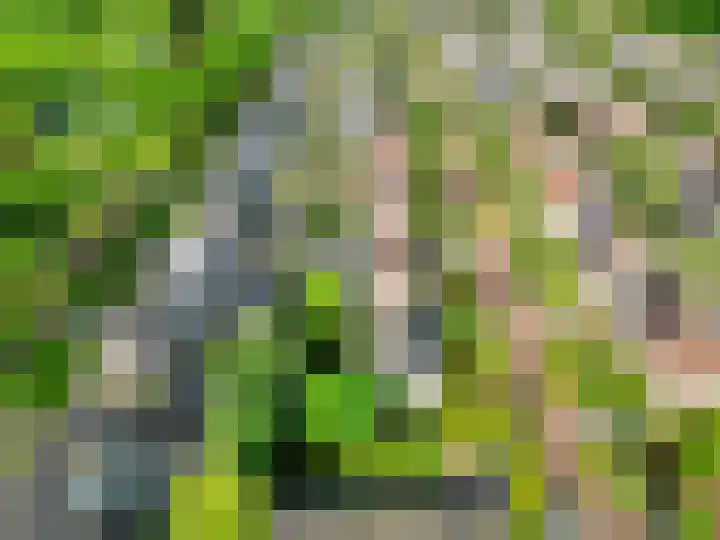 Pieter Zeemanlaan 56 Zwolle thumbnail 47