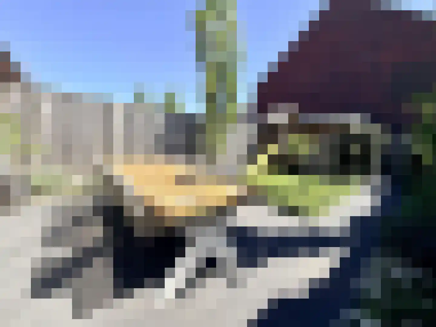 Pieter Zeemanpark 15 's-Hertogenbosch thumbnail 43