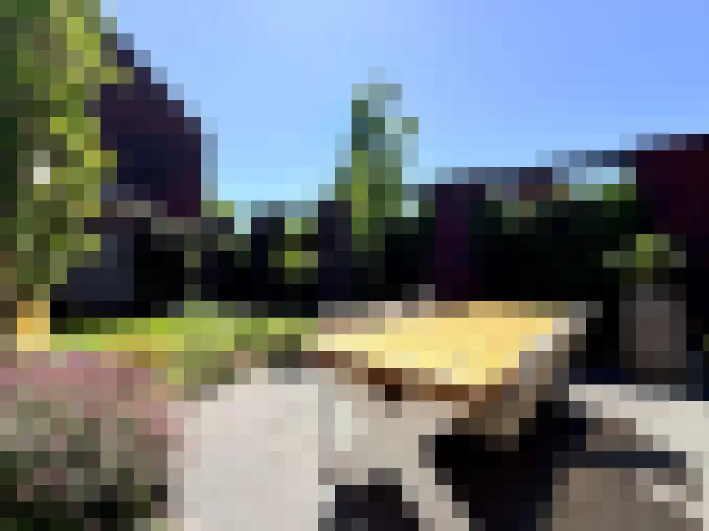 Pieter Zeemanpark 15 's-Hertogenbosch thumbnail 44