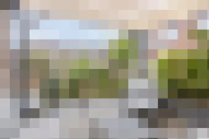 Pieter Zeemanpark 25 's-Hertogenbosch thumbnail 16
