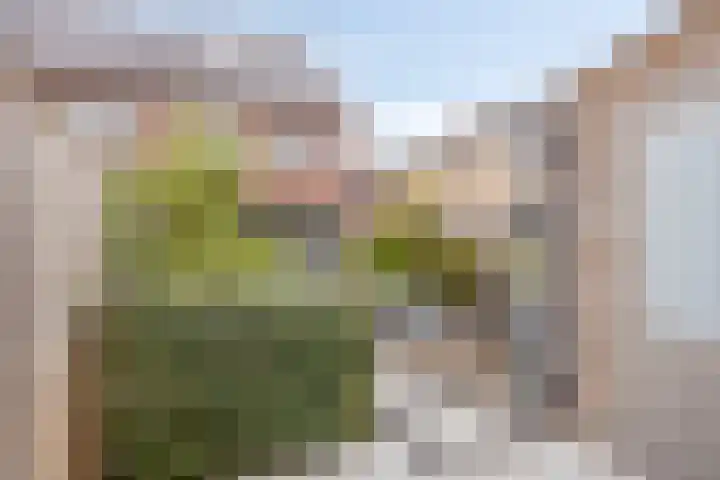 Pieter Zeemanpark 25 's-Hertogenbosch thumbnail 17