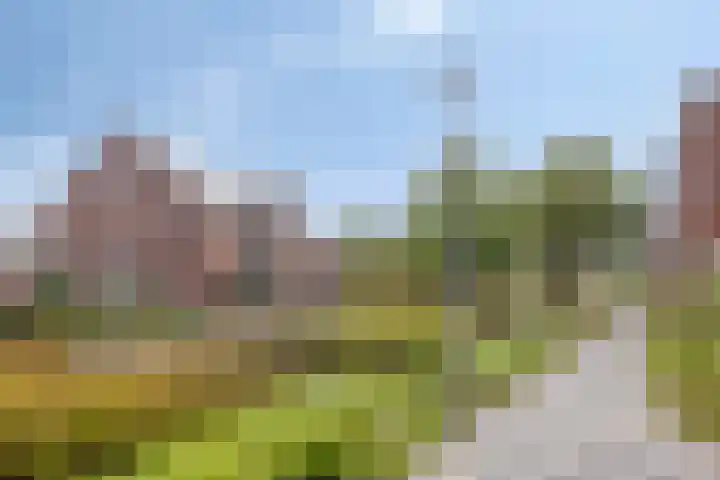 Pieter Zeemanpark 25 's-Hertogenbosch thumbnail 30
