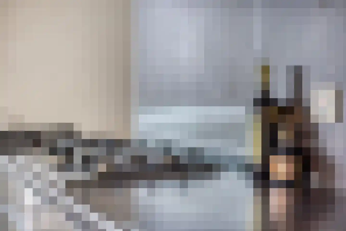 Pieter Zeemanstraat 1 25 Eindhoven thumbnail 12