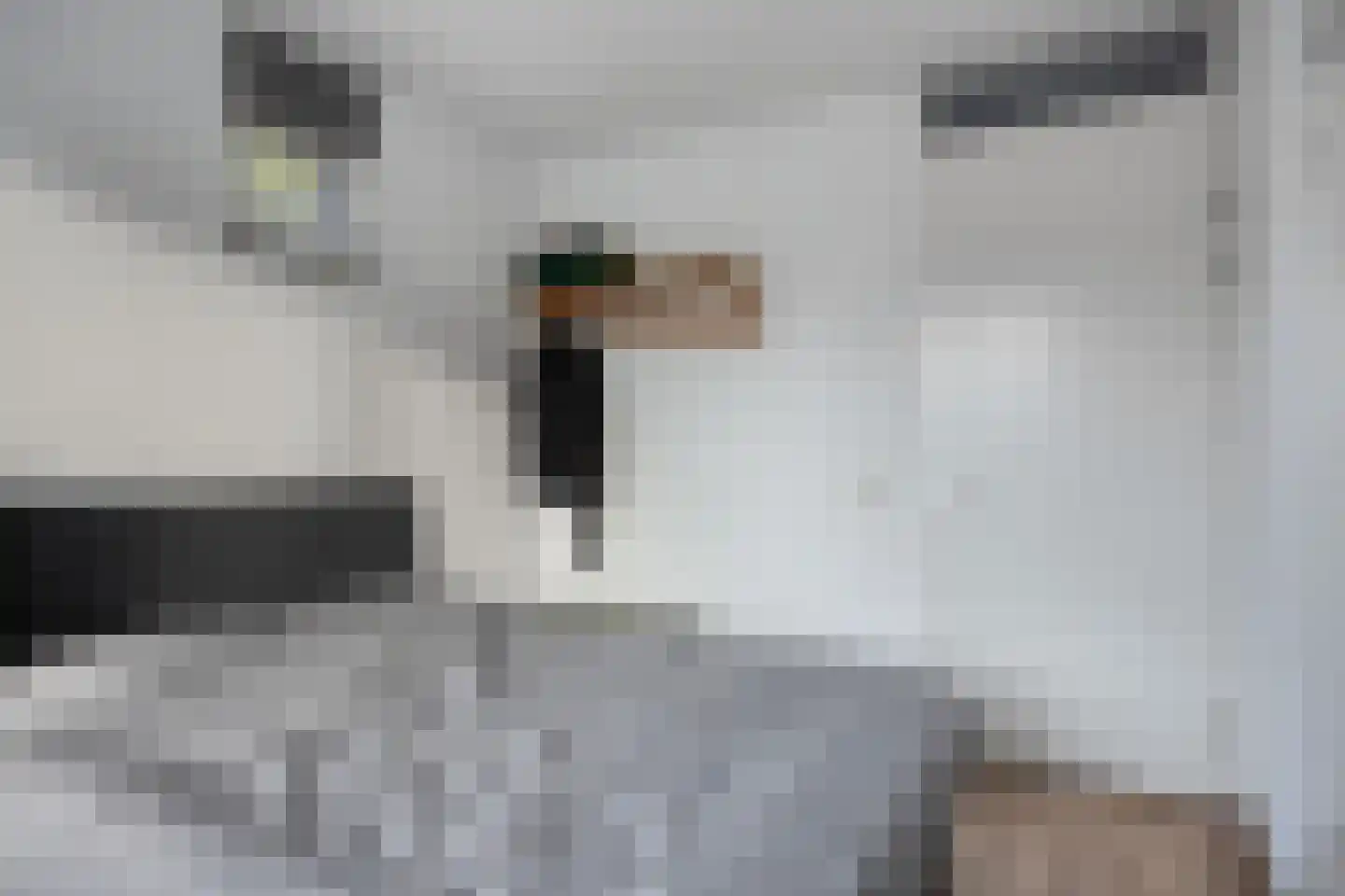 Pieter Zeemanstraat 1 25 Eindhoven thumbnail 19