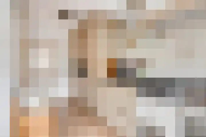 Pieter Zeemanstraat 19 Eindhoven thumbnail 11