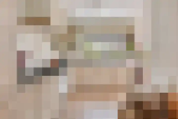 Pieter Zeemanstraat 19 Eindhoven thumbnail 12
