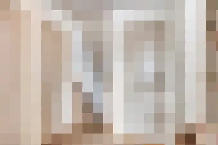 Pieter Zeemanstraat 19 Eindhoven thumbnail 17