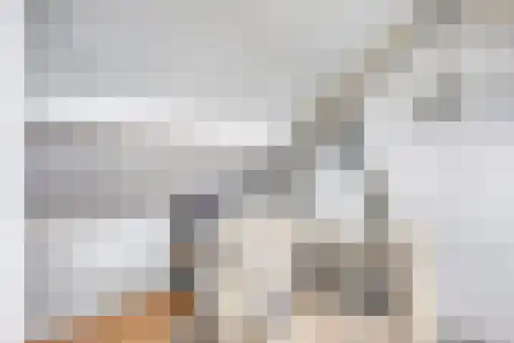 Pieter Zeemanstraat 19 Eindhoven thumbnail 24