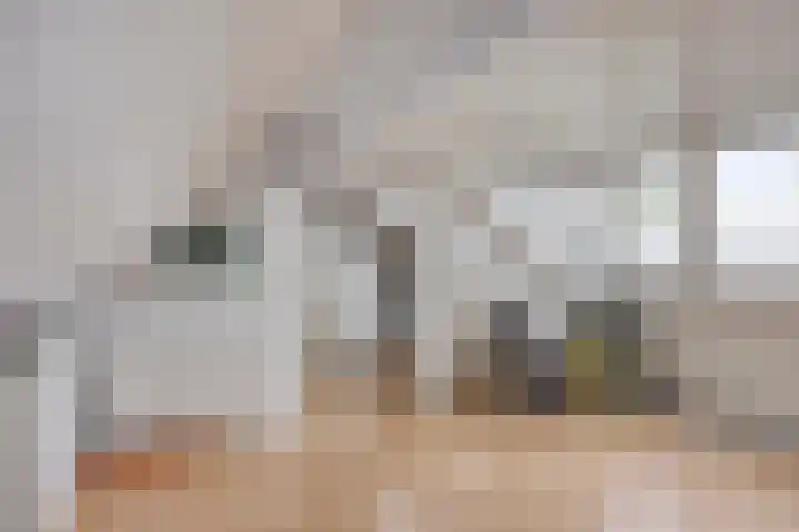 Pieter Zeemanstraat 19 Eindhoven thumbnail 27