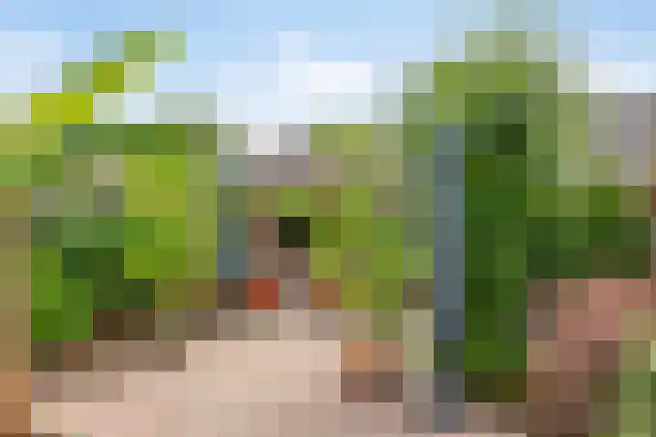 Pieter Zeemanstraat 19 Eindhoven thumbnail 30