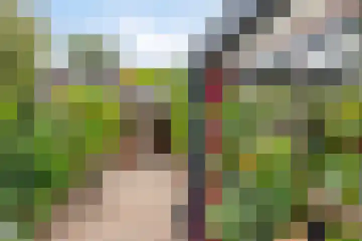 Pieter Zeemanstraat 19 Eindhoven thumbnail 31