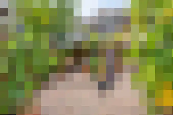 Pieter Zeemanstraat 19 Eindhoven thumbnail 32