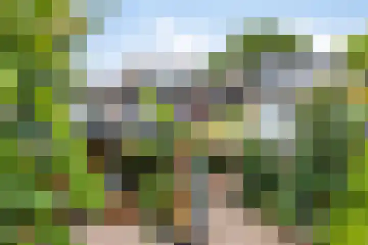 Pieter Zeemanstraat 19 Eindhoven thumbnail 33