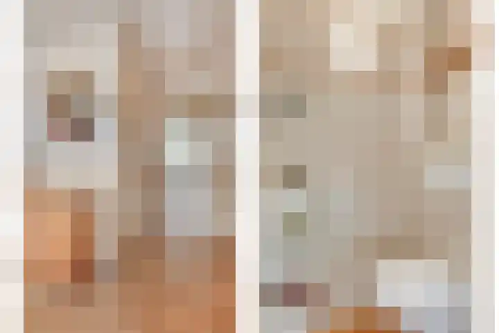 Pieter Zeemanstraat 19 Eindhoven thumbnail 6