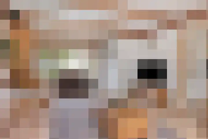 Pieter Zeemanstraat 19 Eindhoven thumbnail 7