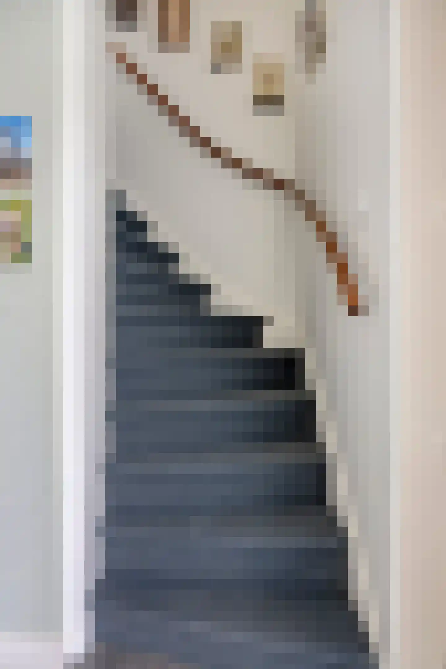 Pieter Zeemanstraat 27 Eindhoven thumbnail 16