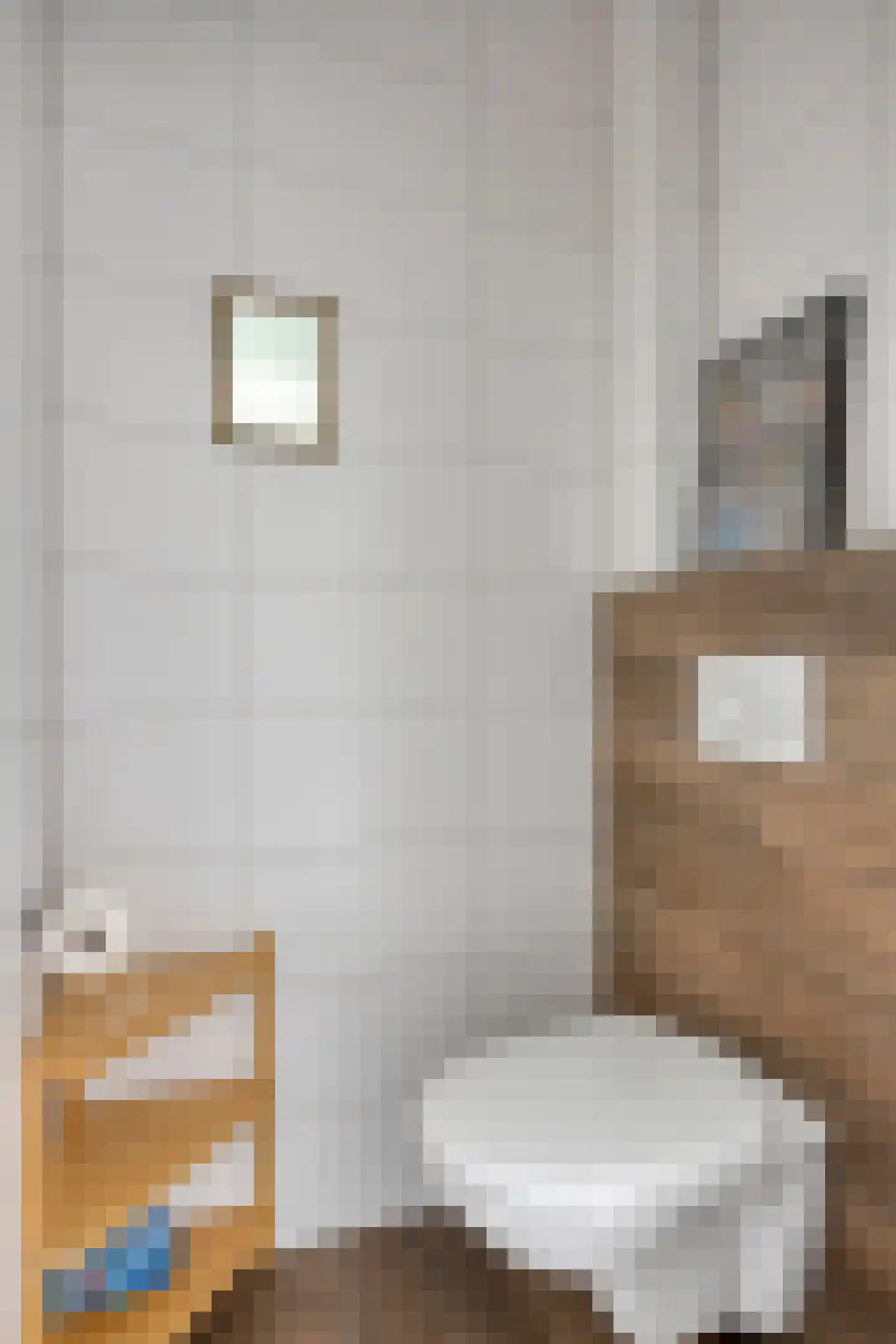 Pieter Zeemanstraat 27 Eindhoven thumbnail 17