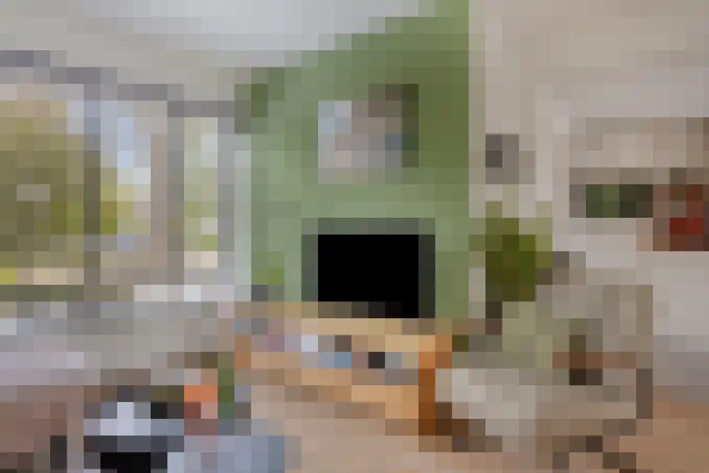 Pieter Zeemanstraat 27 Eindhoven thumbnail 19
