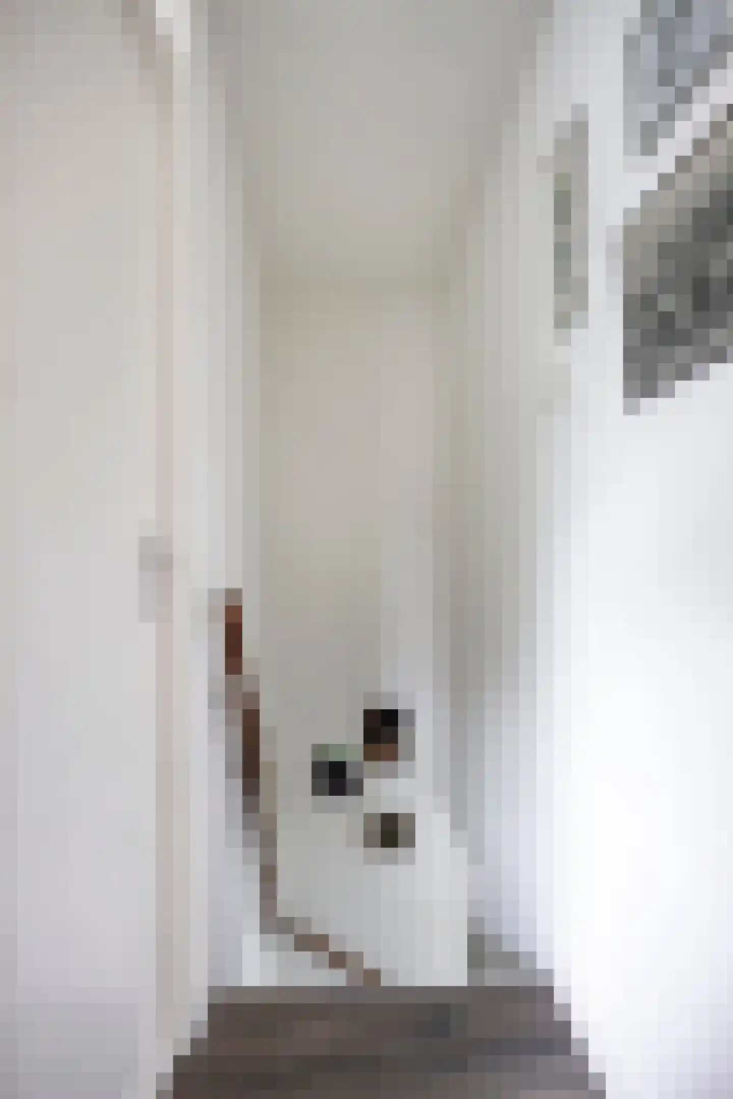 Pieter Zeemanstraat 27 Eindhoven thumbnail 27