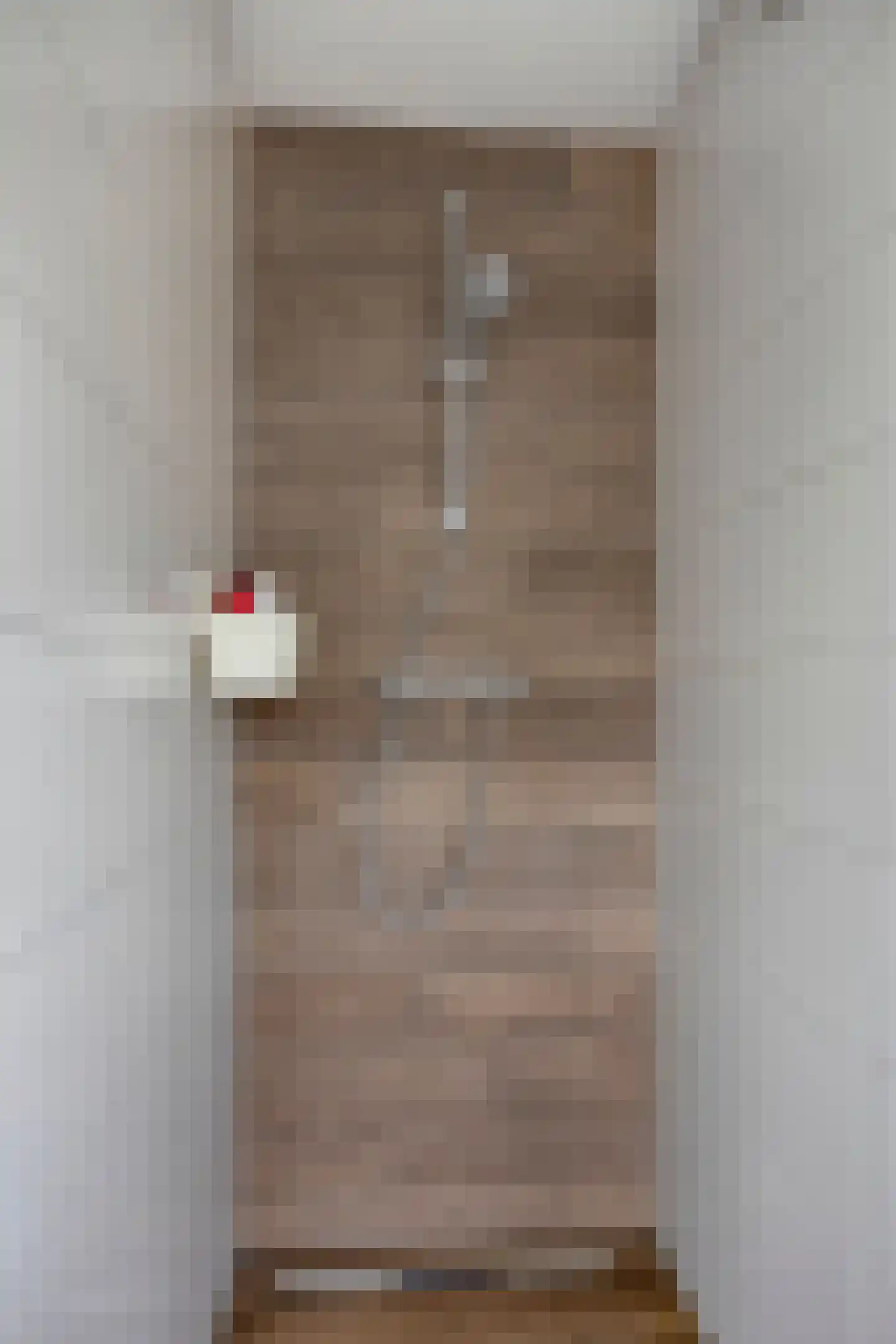 Pieter Zeemanstraat 27 Eindhoven thumbnail 32