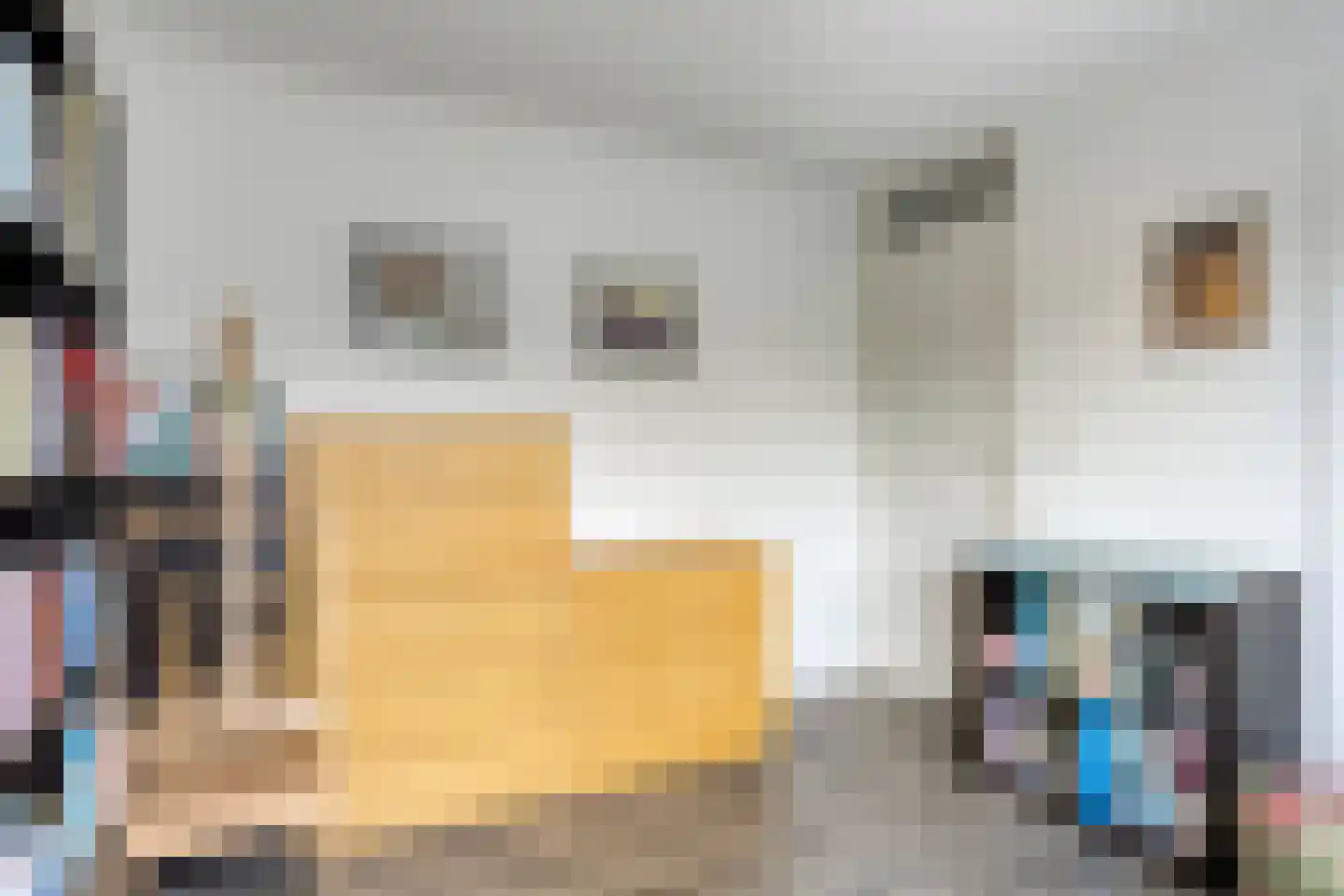 Pieter Zeemanstraat 27 Eindhoven thumbnail 34