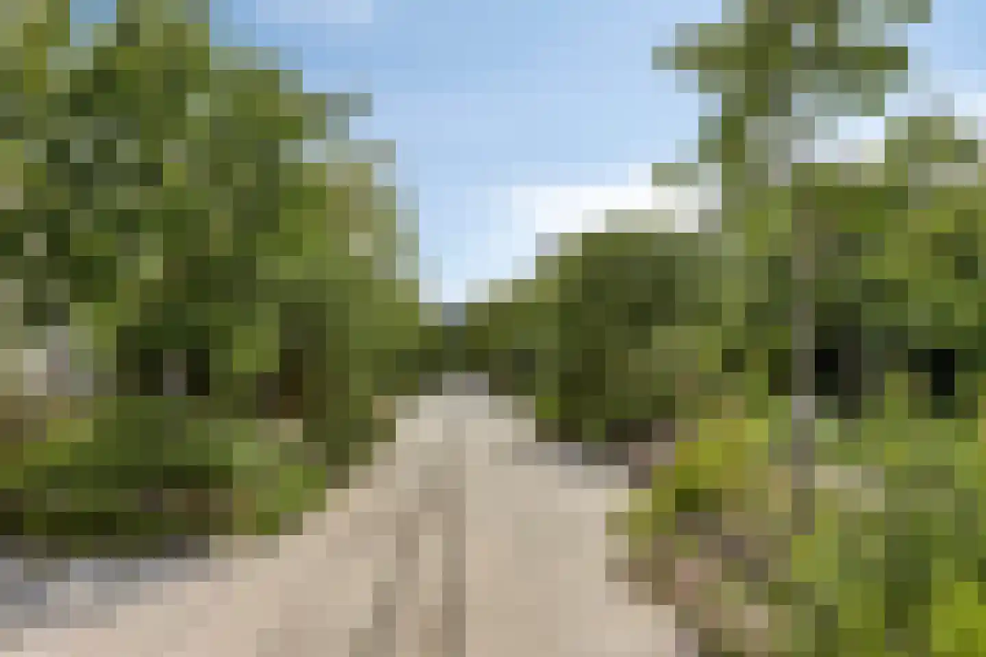 Pieter Zeemanstraat 27 Eindhoven thumbnail 41