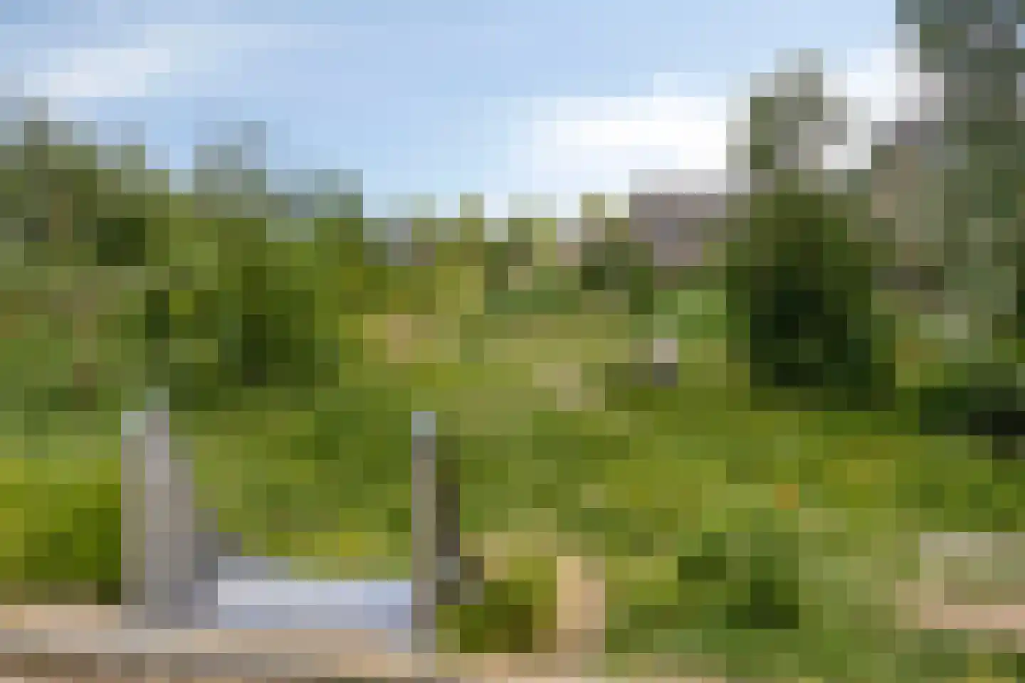 Pieter Zeemanstraat 27 Eindhoven thumbnail 42
