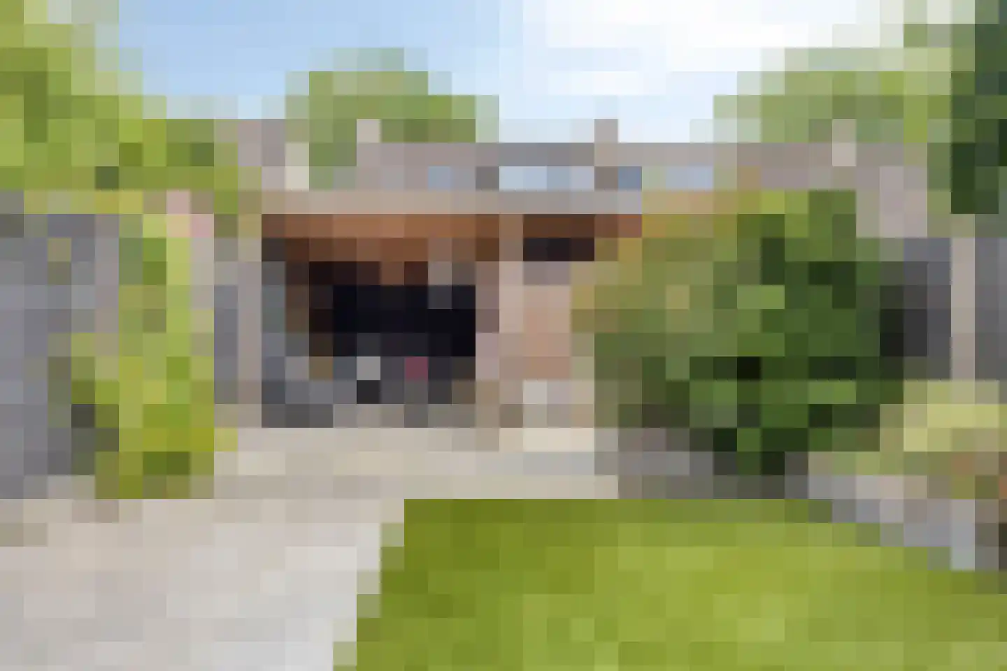 Pieter Zeemanstraat 27 Eindhoven thumbnail 5