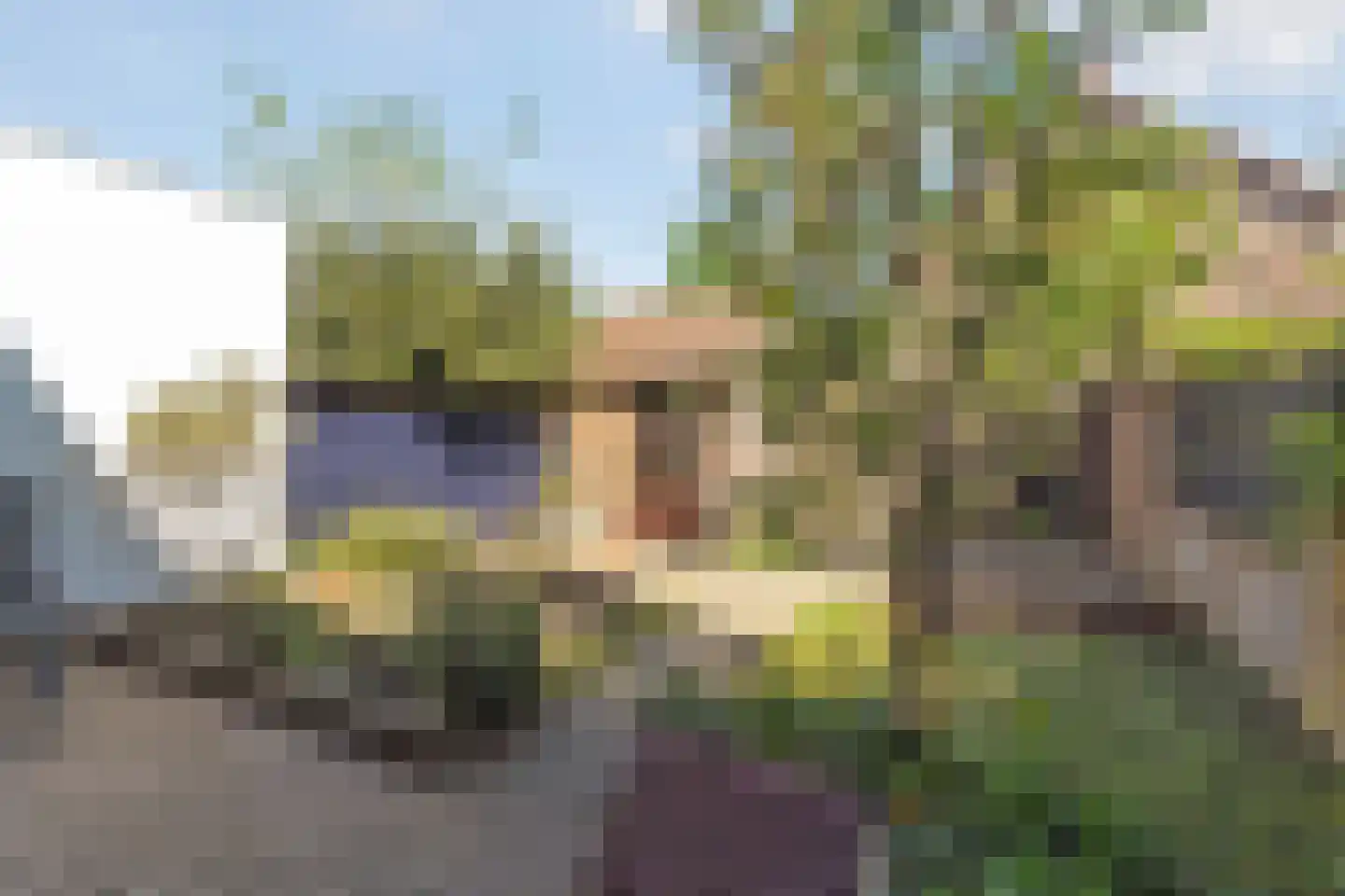 Pieter Zeemanstraat 3 Nijmegen thumbnail 28