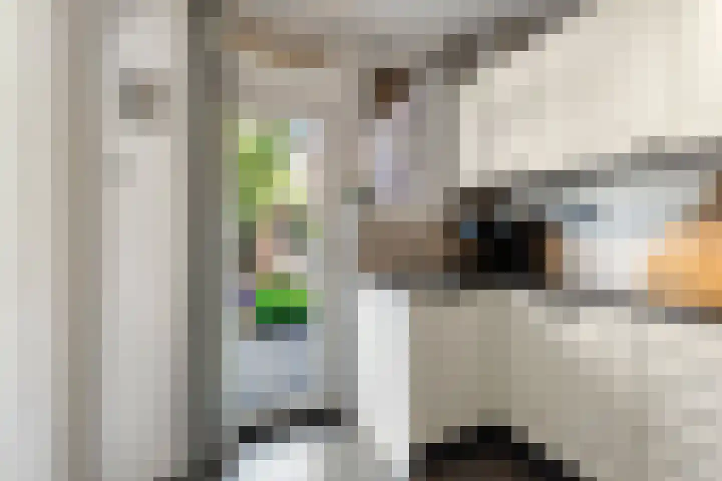 Pieter Zeemanstraat 3 Nijmegen thumbnail 9