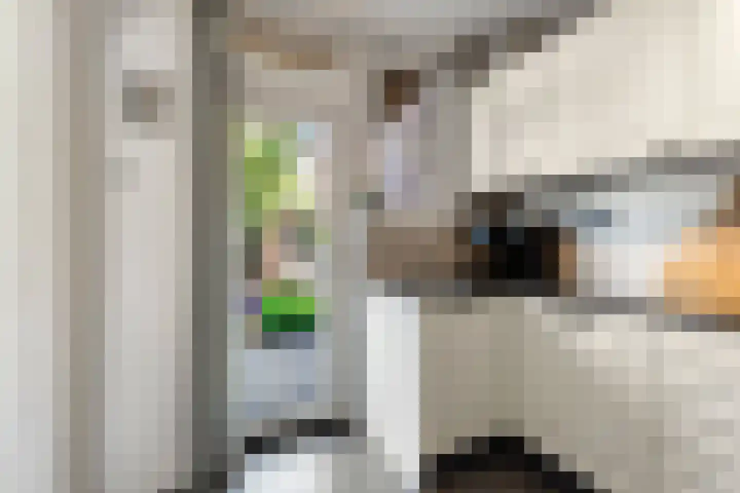 Pieter Zeemanstraat 3 Nijmegen thumbnail 9