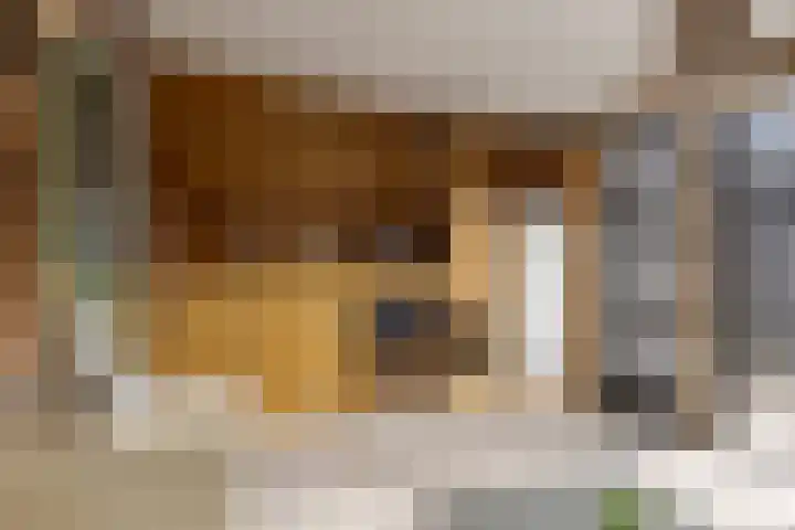 Pieterbergweg 4 Westerbork thumbnail 10