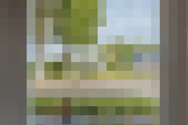 Pieterbergweg 4 Westerbork thumbnail 24