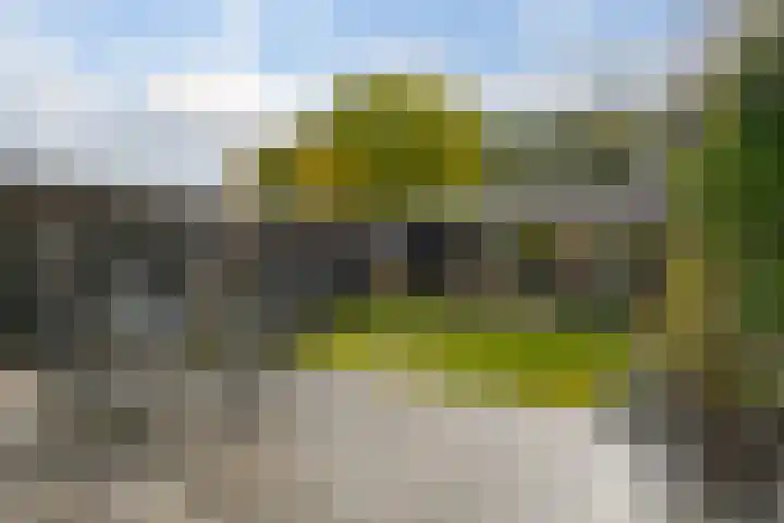 Pieterbergweg 4 Westerbork thumbnail 40