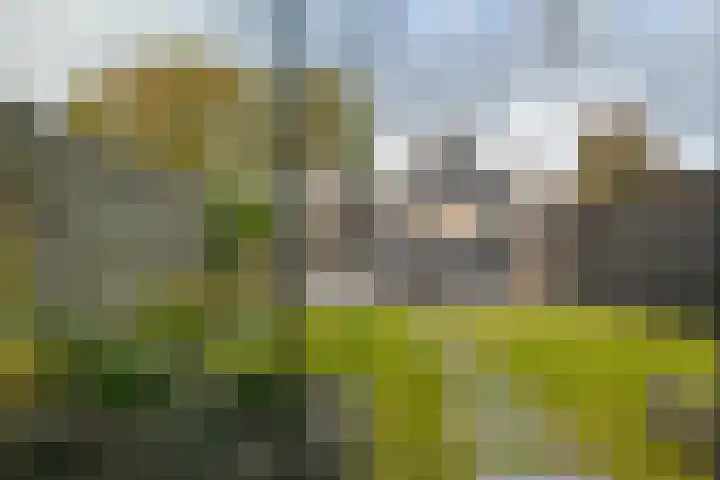 Pieterbergweg 4 Westerbork thumbnail 43