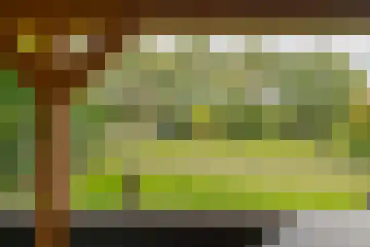 Pieterbergweg 4 Westerbork thumbnail 47