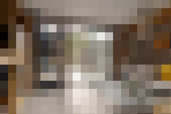 Pieterbergweg 4 Westerbork thumbnail 8