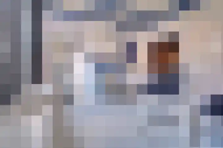Pieterhofje 2 Zonnemaire thumbnail 10