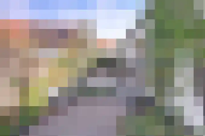 Pieterhofje 2 Zonnemaire thumbnail 19