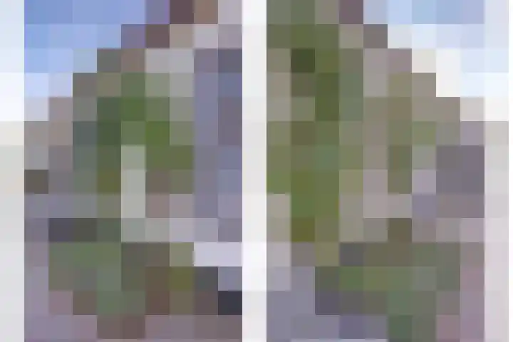 Pieterhofje 2 Zonnemaire thumbnail 20