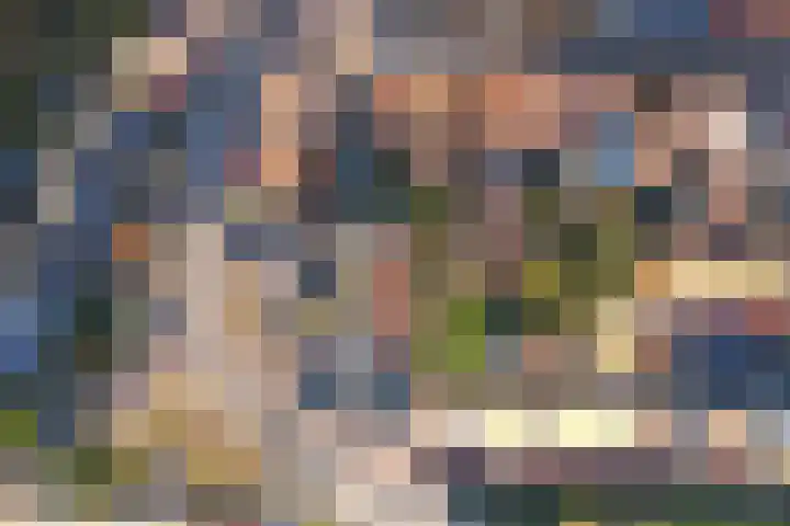 Pieterhofje 2 Zonnemaire thumbnail 22